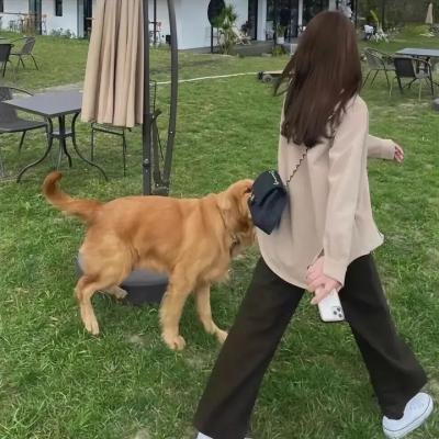 风尘双侠