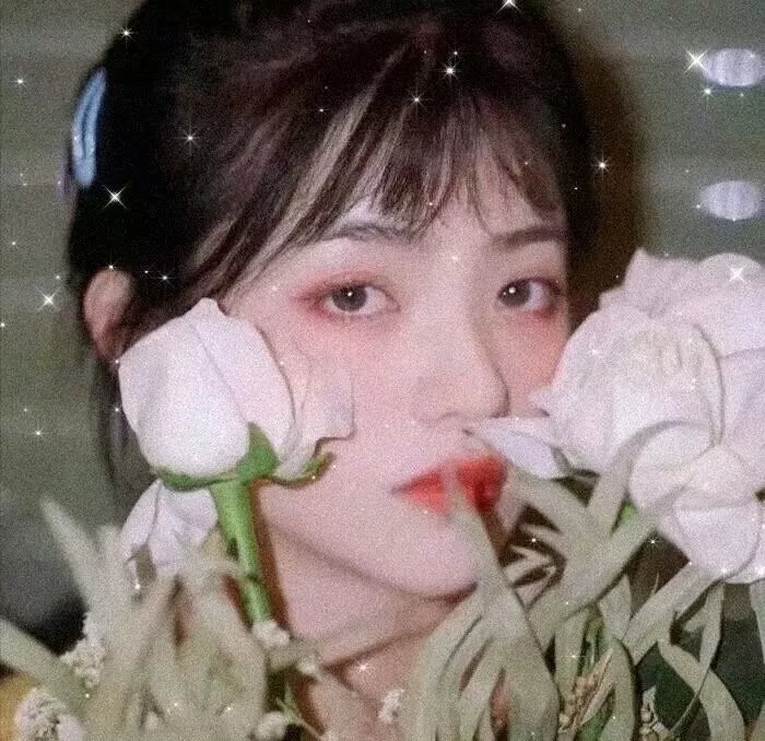 不要先生与好的女士